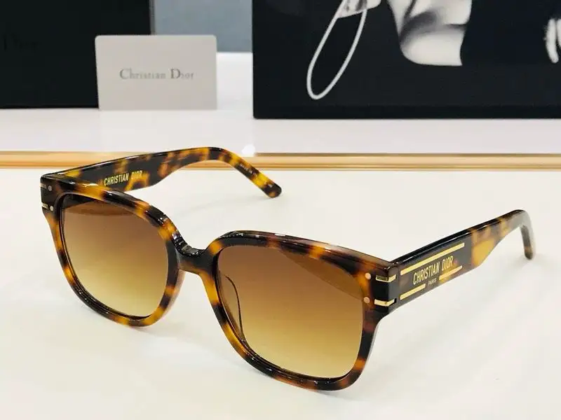 Dior Glasses smr (132)